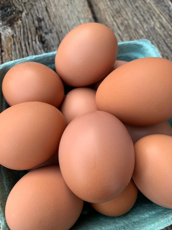 Wyandotte Hatching Eggs