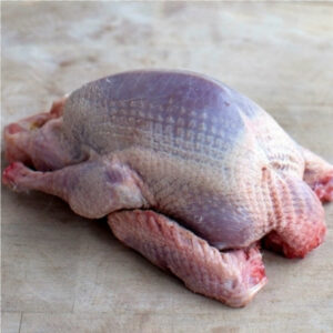 10591082 pigeons guinea hen meat color png download