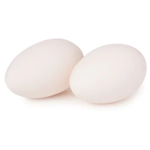 Fresh Geese Gosling Eggs