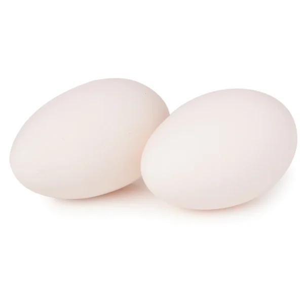 Fresh Geese Gosling Eggs