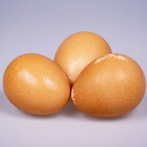 Fresh Guinea Fowl Egg e1679323770163